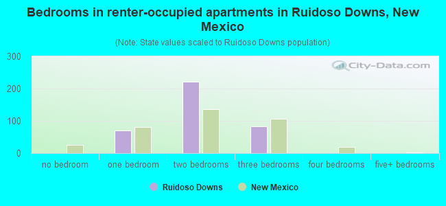 Bedrooms in renter-occupied apartments in Ruidoso Downs, New Mexico