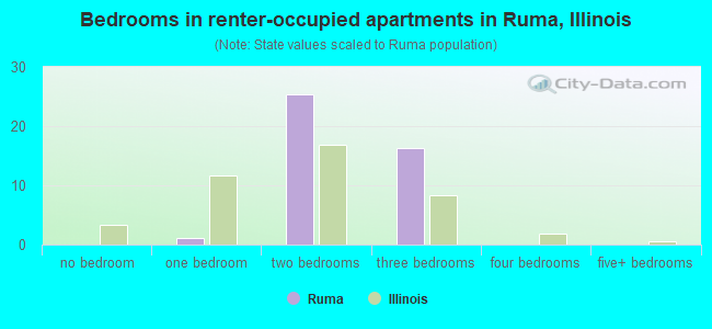 Bedrooms in renter-occupied apartments in Ruma, Illinois