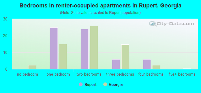 Bedrooms in renter-occupied apartments in Rupert, Georgia