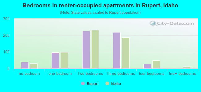 Bedrooms in renter-occupied apartments in Rupert, Idaho