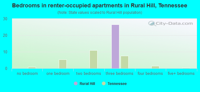 Bedrooms in renter-occupied apartments in Rural Hill, Tennessee