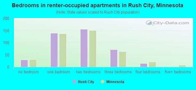 Bedrooms in renter-occupied apartments in Rush City, Minnesota