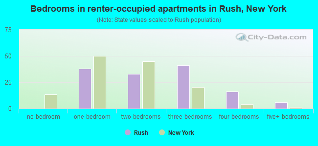 Bedrooms in renter-occupied apartments in Rush, New York