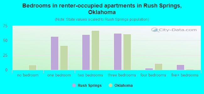 Bedrooms in renter-occupied apartments in Rush Springs, Oklahoma