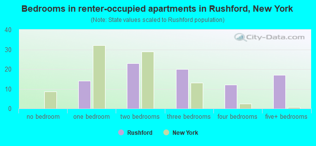 Bedrooms in renter-occupied apartments in Rushford, New York