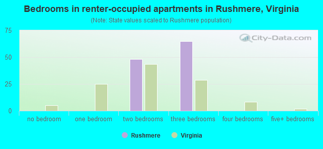 Bedrooms in renter-occupied apartments in Rushmere, Virginia