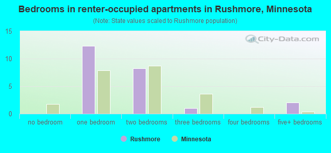 Bedrooms in renter-occupied apartments in Rushmore, Minnesota