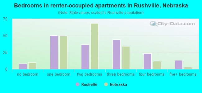 Bedrooms in renter-occupied apartments in Rushville, Nebraska