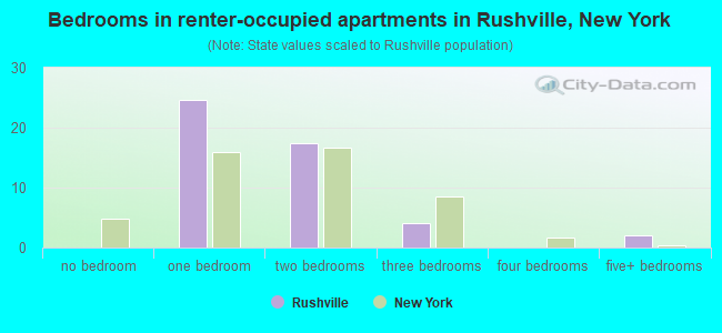 Bedrooms in renter-occupied apartments in Rushville, New York