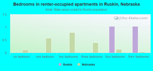 Bedrooms in renter-occupied apartments in Ruskin, Nebraska