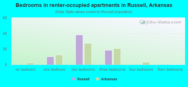 Bedrooms in renter-occupied apartments in Russell, Arkansas