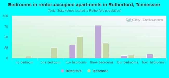 Bedrooms in renter-occupied apartments in Rutherford, Tennessee