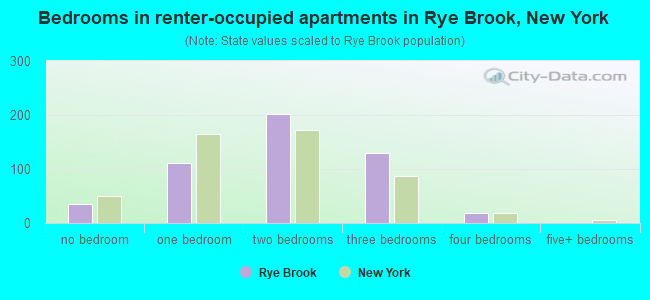 Bedrooms in renter-occupied apartments in Rye Brook, New York