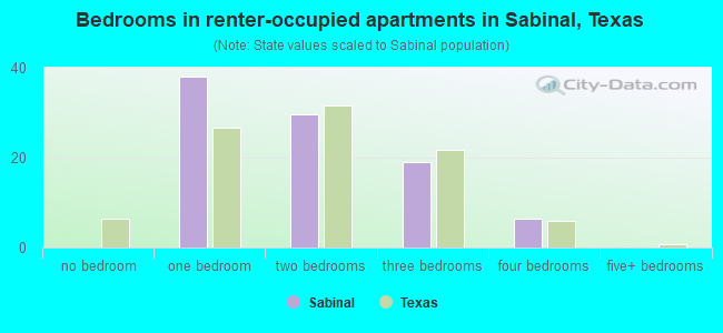Bedrooms in renter-occupied apartments in Sabinal, Texas