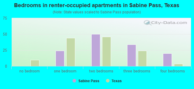 Bedrooms in renter-occupied apartments in Sabine Pass, Texas