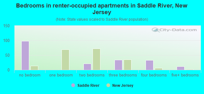 Bedrooms in renter-occupied apartments in Saddle River, New Jersey