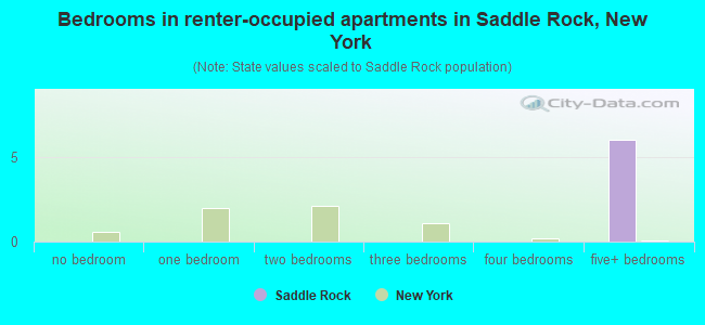 Bedrooms in renter-occupied apartments in Saddle Rock, New York