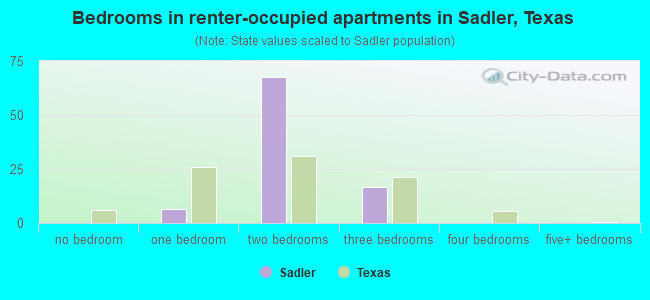 Bedrooms in renter-occupied apartments in Sadler, Texas