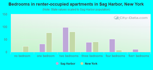 Bedrooms in renter-occupied apartments in Sag Harbor, New York