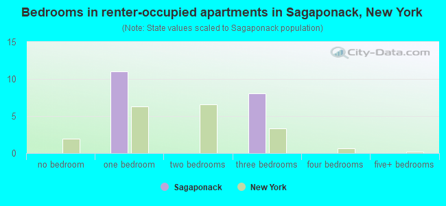 Bedrooms in renter-occupied apartments in Sagaponack, New York