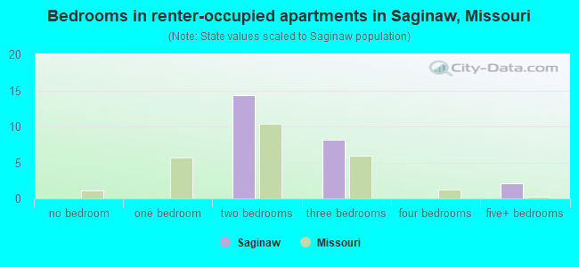 Bedrooms in renter-occupied apartments in Saginaw, Missouri
