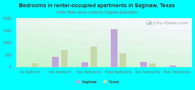 Bedrooms in renter-occupied apartments in Saginaw, Texas