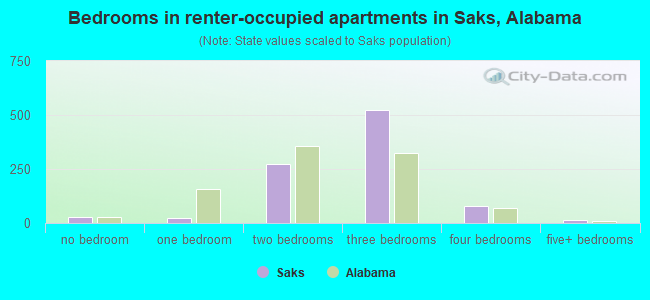 Bedrooms in renter-occupied apartments in Saks, Alabama