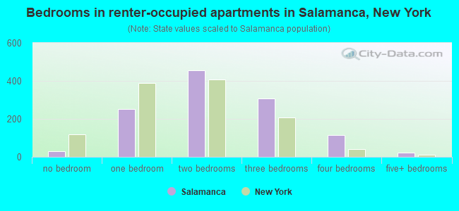 Bedrooms in renter-occupied apartments in Salamanca, New York