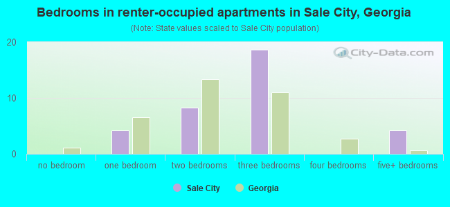Bedrooms in renter-occupied apartments in Sale City, Georgia