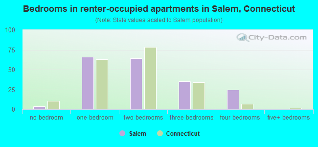 Bedrooms in renter-occupied apartments in Salem, Connecticut