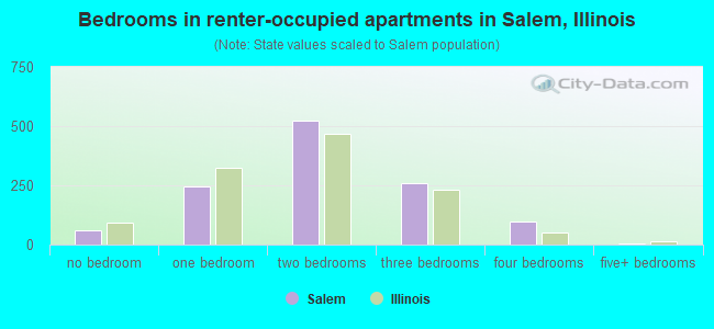 Bedrooms in renter-occupied apartments in Salem, Illinois