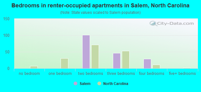 Bedrooms in renter-occupied apartments in Salem, North Carolina