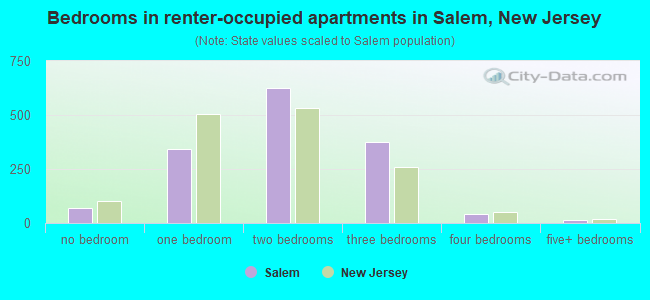 Bedrooms in renter-occupied apartments in Salem, New Jersey