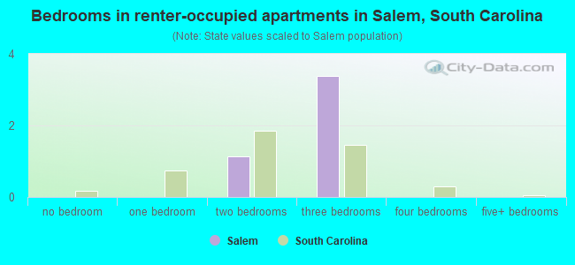 Bedrooms in renter-occupied apartments in Salem, South Carolina