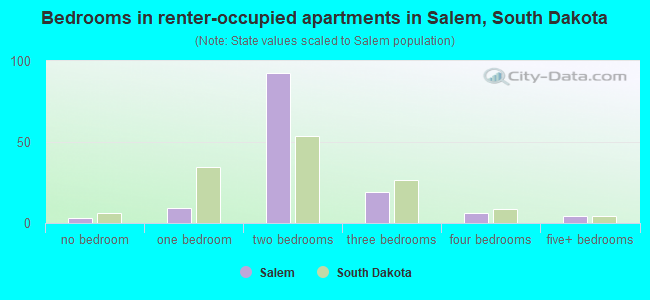 Bedrooms in renter-occupied apartments in Salem, South Dakota