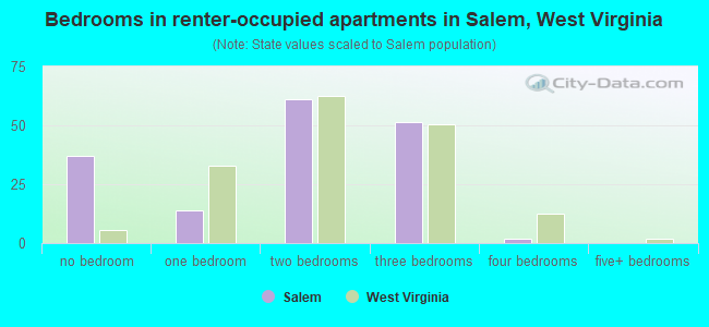 Bedrooms in renter-occupied apartments in Salem, West Virginia