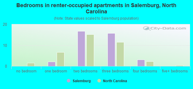 Bedrooms in renter-occupied apartments in Salemburg, North Carolina