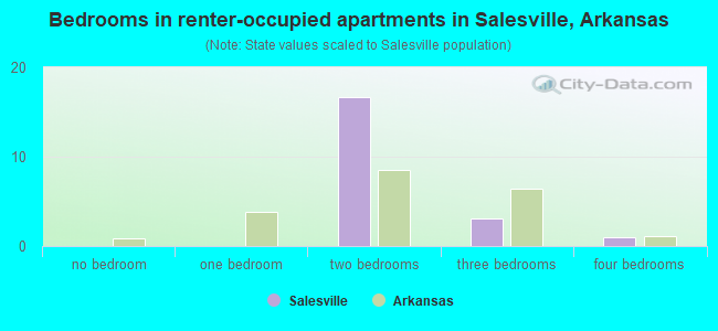 Bedrooms in renter-occupied apartments in Salesville, Arkansas