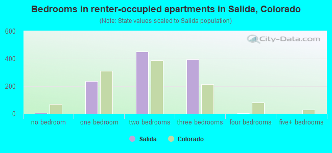 Bedrooms in renter-occupied apartments in Salida, Colorado