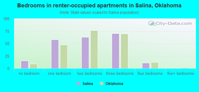 Bedrooms in renter-occupied apartments in Salina, Oklahoma