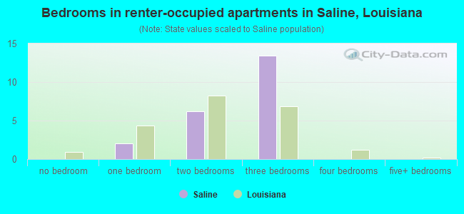 Bedrooms in renter-occupied apartments in Saline, Louisiana