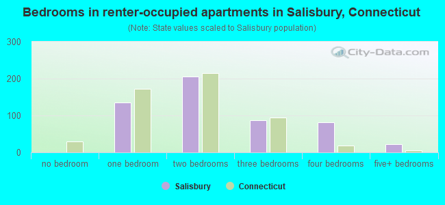 Bedrooms in renter-occupied apartments in Salisbury, Connecticut