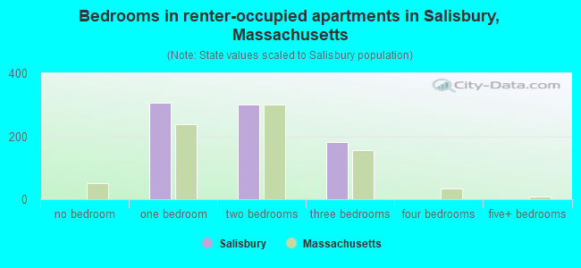 Bedrooms in renter-occupied apartments in Salisbury, Massachusetts