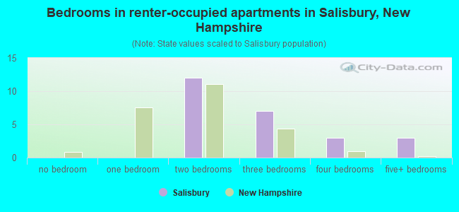 Bedrooms in renter-occupied apartments in Salisbury, New Hampshire