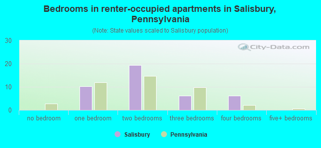 Bedrooms in renter-occupied apartments in Salisbury, Pennsylvania