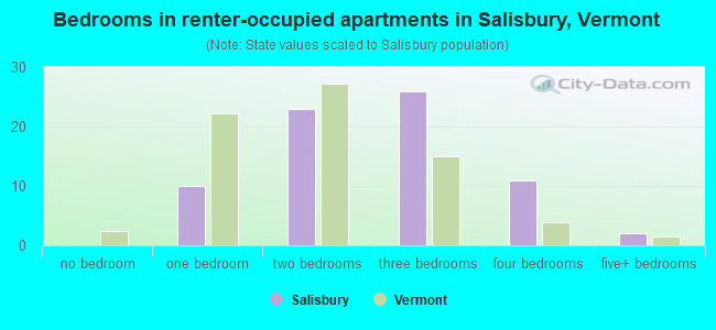 Bedrooms in renter-occupied apartments in Salisbury, Vermont