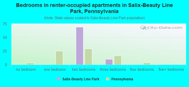 Bedrooms in renter-occupied apartments in Salix-Beauty Line Park, Pennsylvania