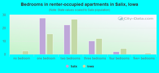 Bedrooms in renter-occupied apartments in Salix, Iowa