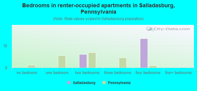 Bedrooms in renter-occupied apartments in Salladasburg, Pennsylvania