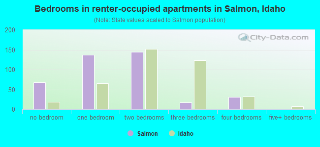 Bedrooms in renter-occupied apartments in Salmon, Idaho